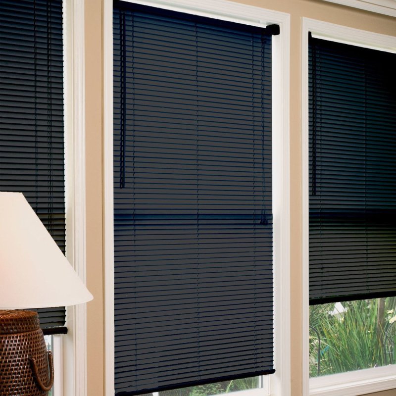 Black blinds on windows