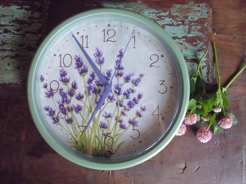 Lavender watch