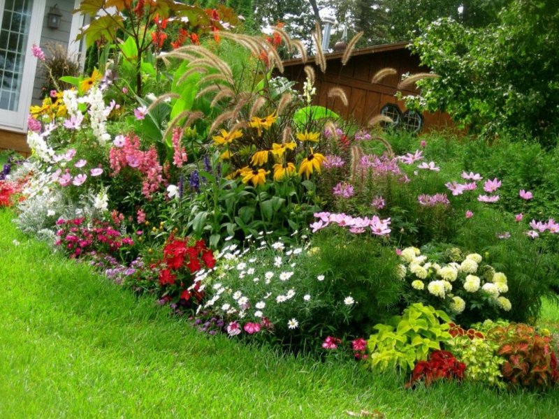 Beautiful flower beds