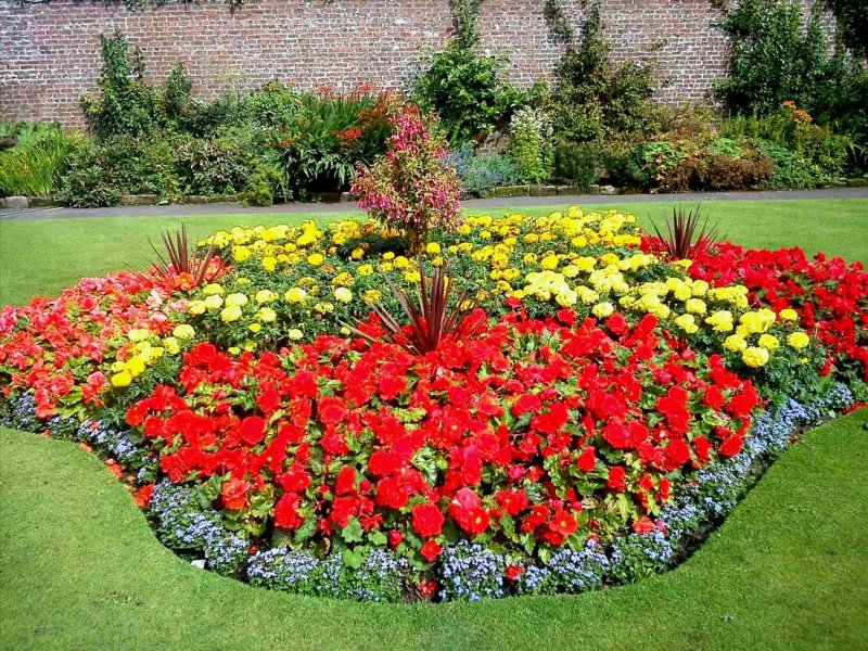 Beautiful flower beds