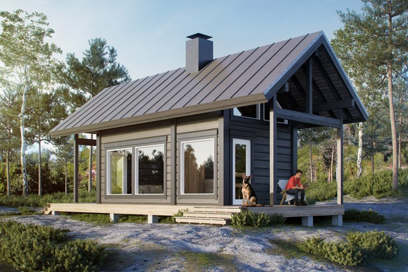 Finnish house Honka one -story