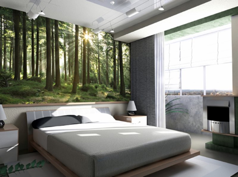 Murals forest in the bedroom