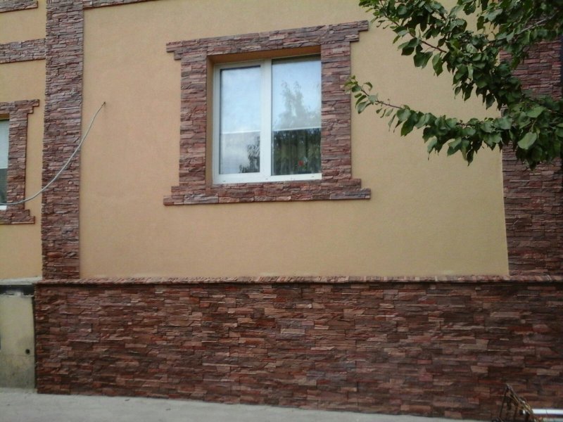 Facade decoration with a bark beetle