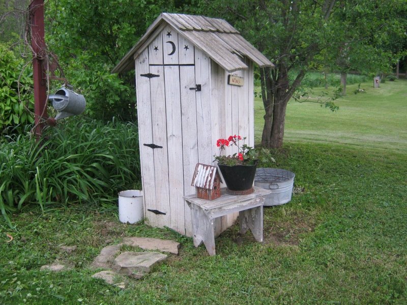 Unusual toilets in the country