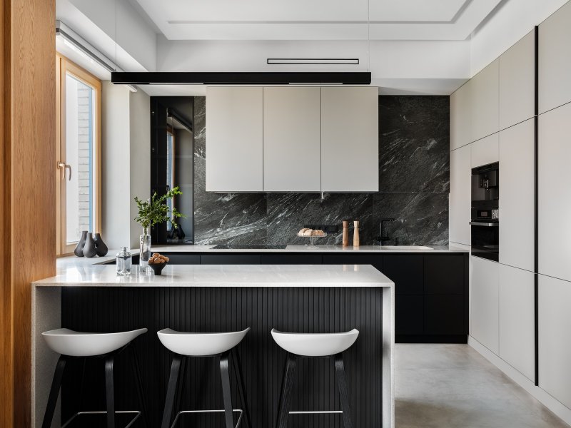 Kitchen interiors in a modern style