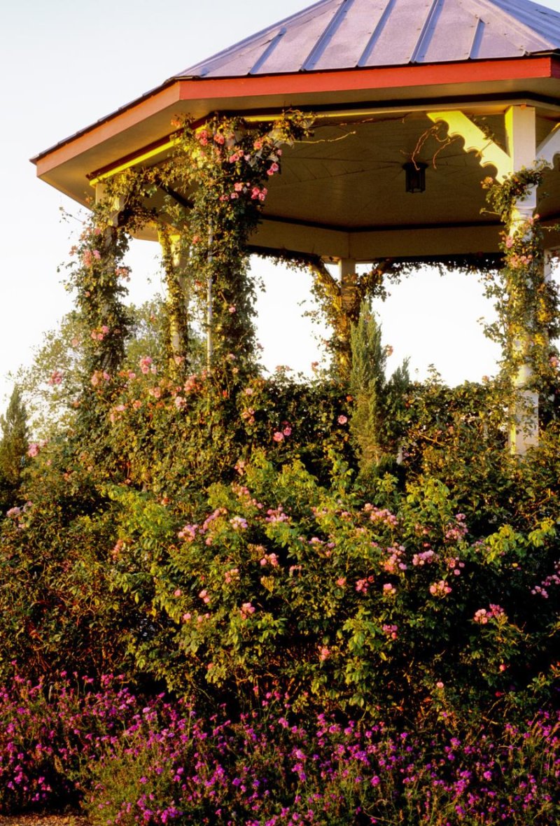 Eastern gazebo