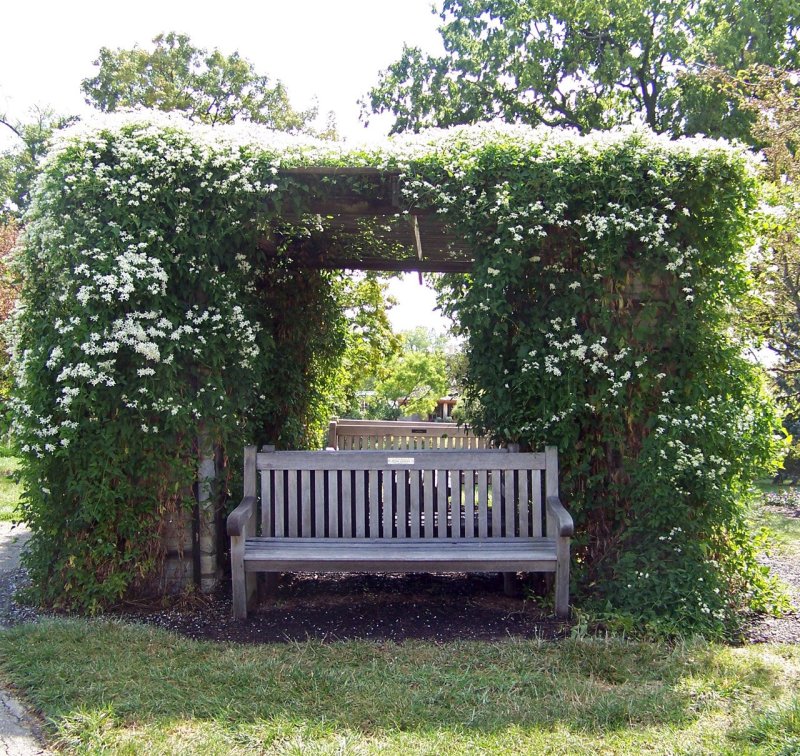 The gazebo is seen by greens