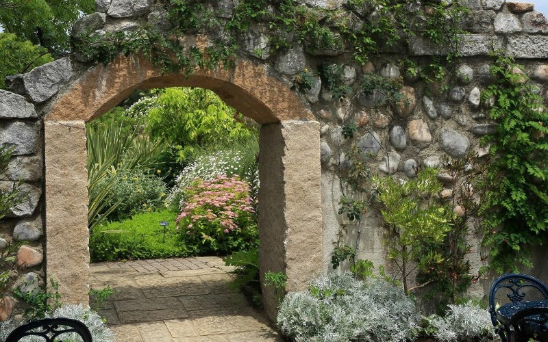 The arch is twisted with ivy