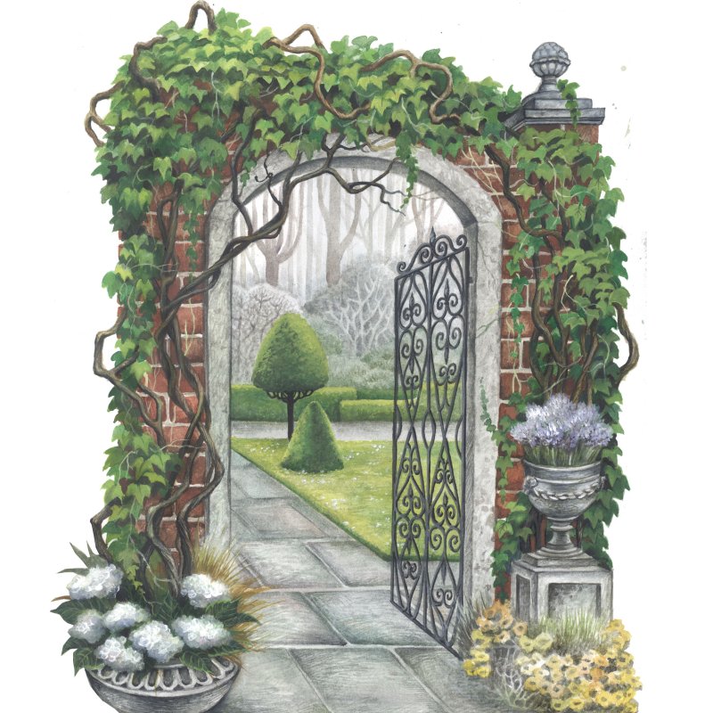 Entrance to the botanical garden drawing