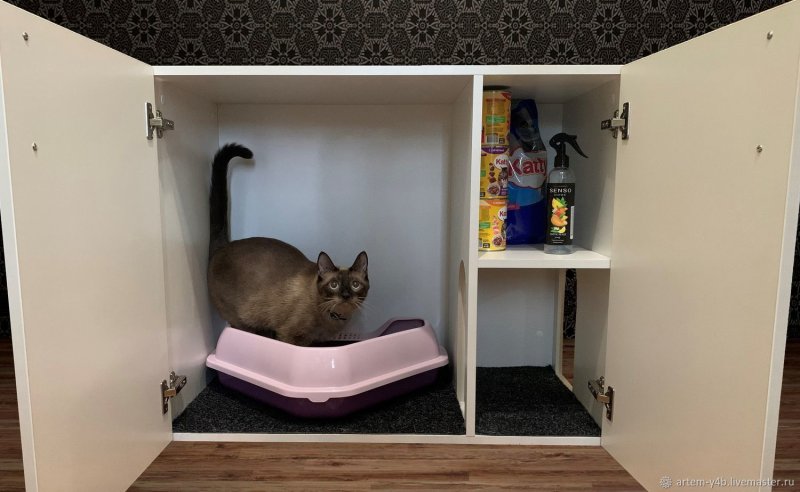 Tumbling toilet for cats