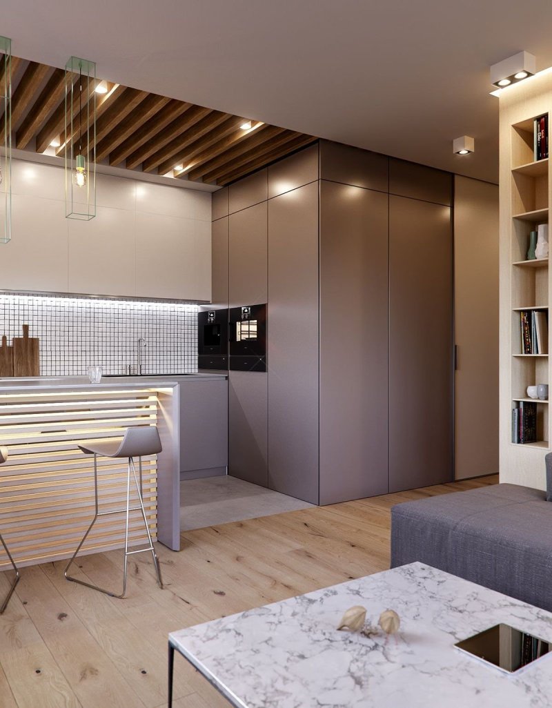 Studio's apartment design