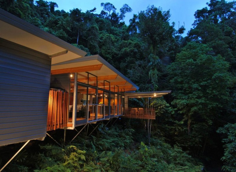 House in the jungle