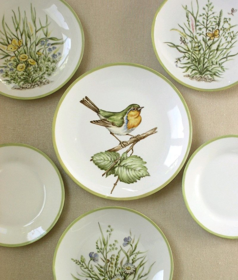 Ursula gang plates of bird