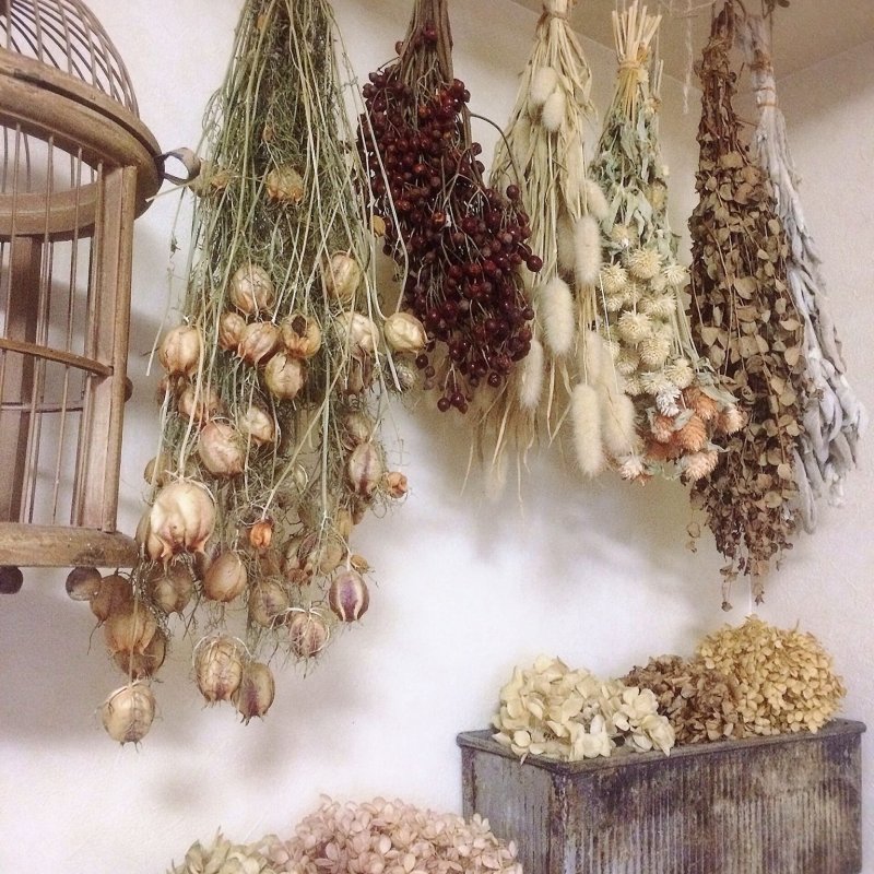 Dry -flowers for interior decor