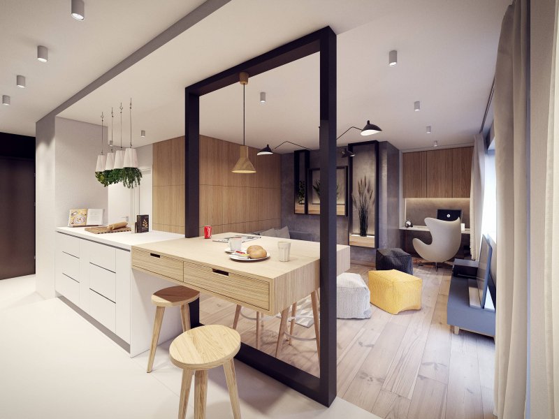 Studio's apartment design