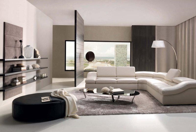 Living room sofas in a modern style