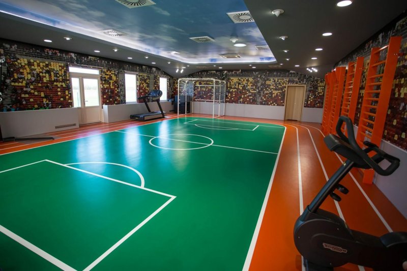 Linoleum "Omnisports R65"