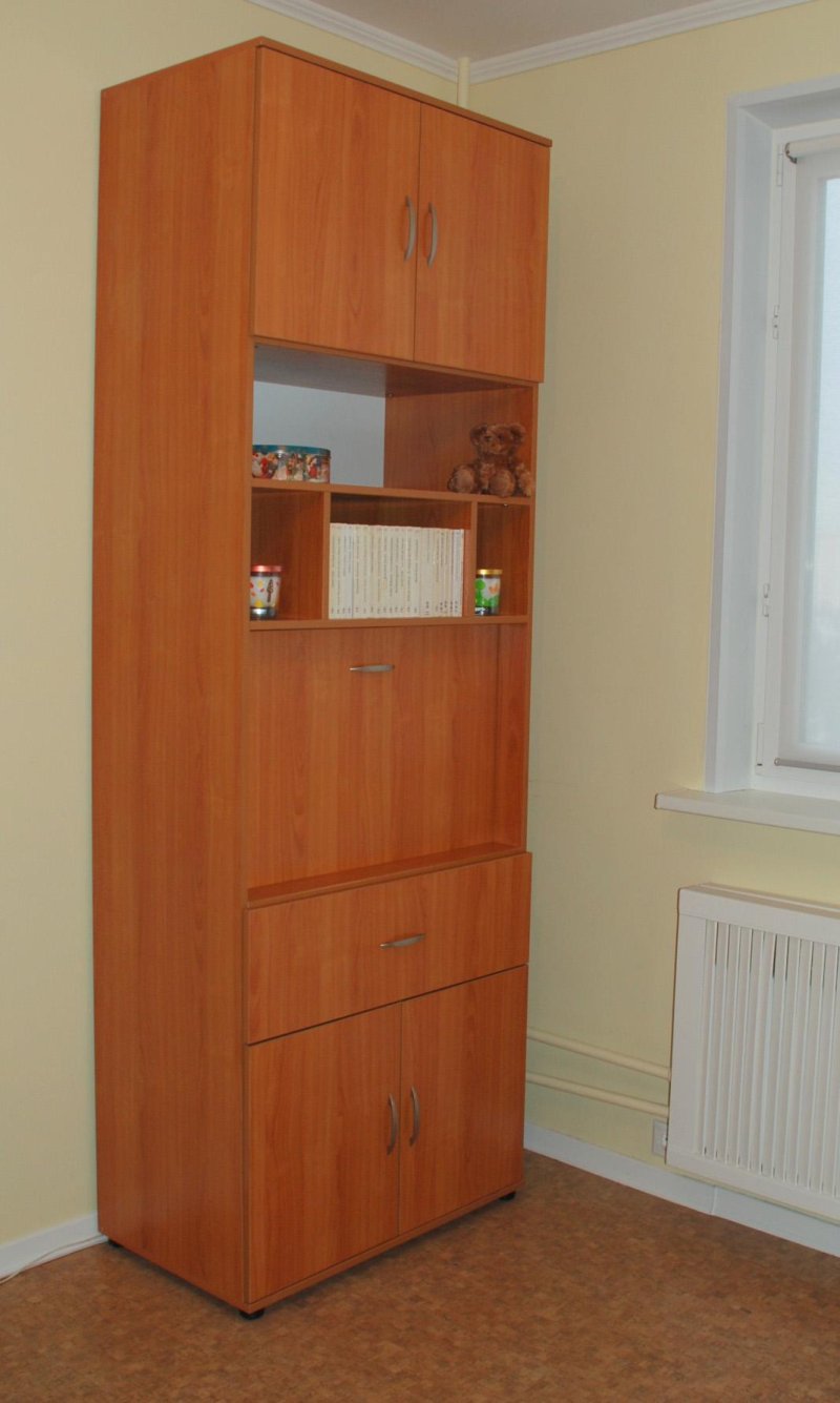 Constantin cabinet Shatura