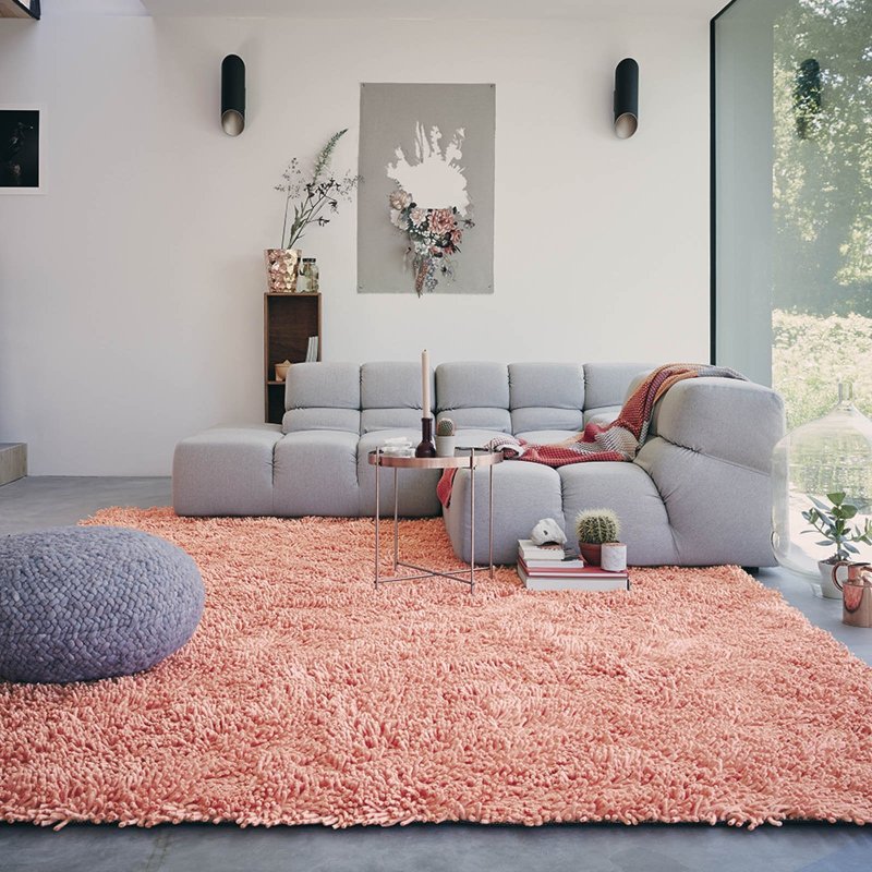 Carpets in the interior of the living room