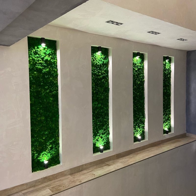 Stabilized moss panel with backlighting