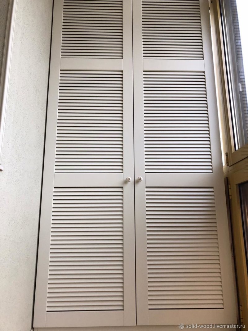 Built -in closet with blind doors