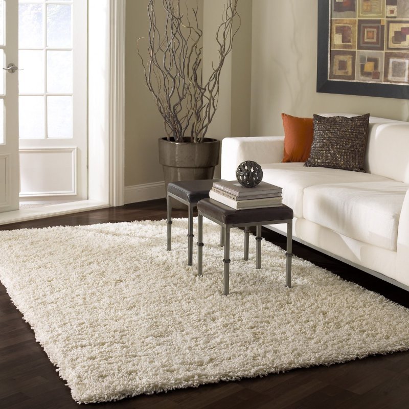 Carpets in the interior of the living room