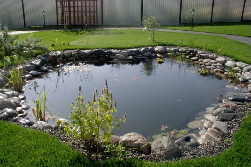 Garden pond