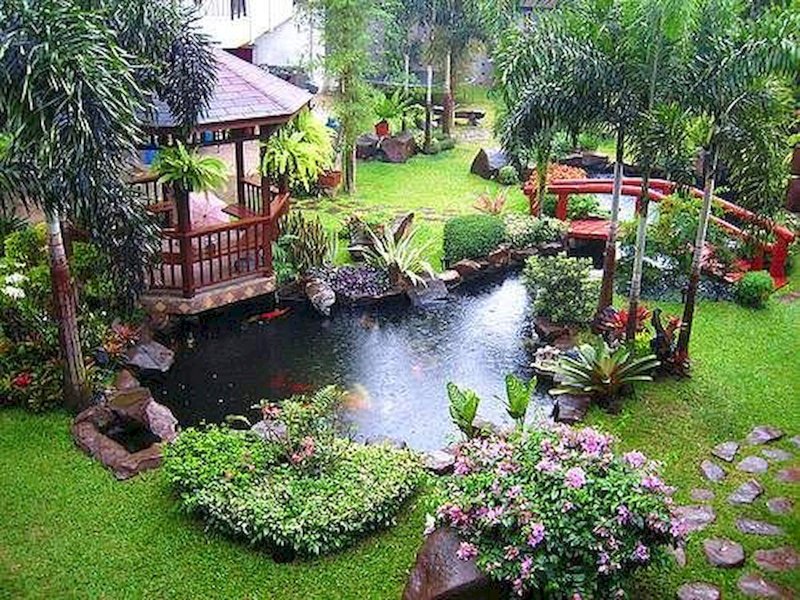 Beautiful pond in the garden