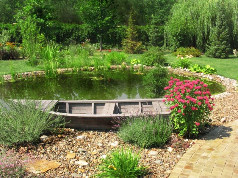 Garden pond