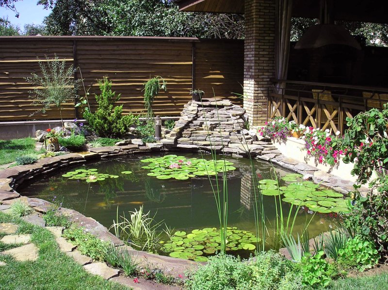 The design of the garden pond