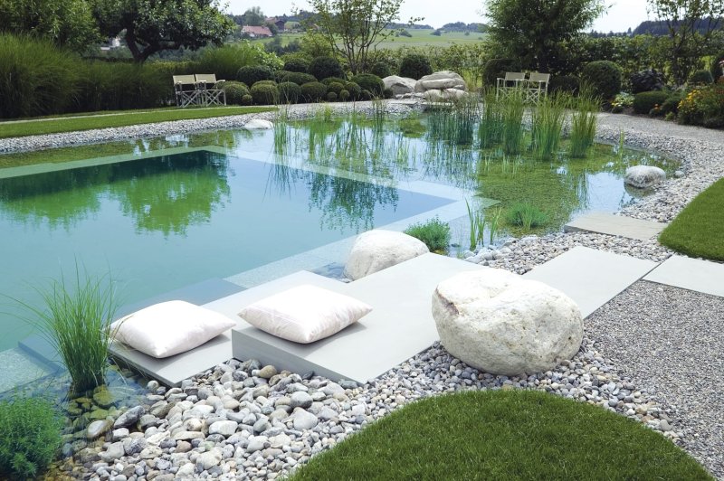 Swimming pond with bioplato