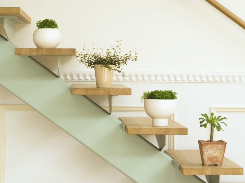 Shelves for flowers