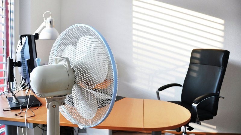 The fan in the office