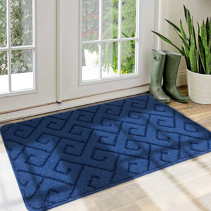 Rug for the front door