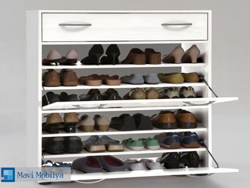 Shoe cabinet shoe