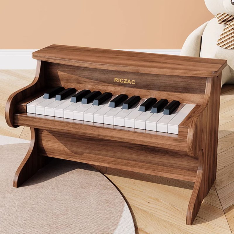 Piano musical instrument