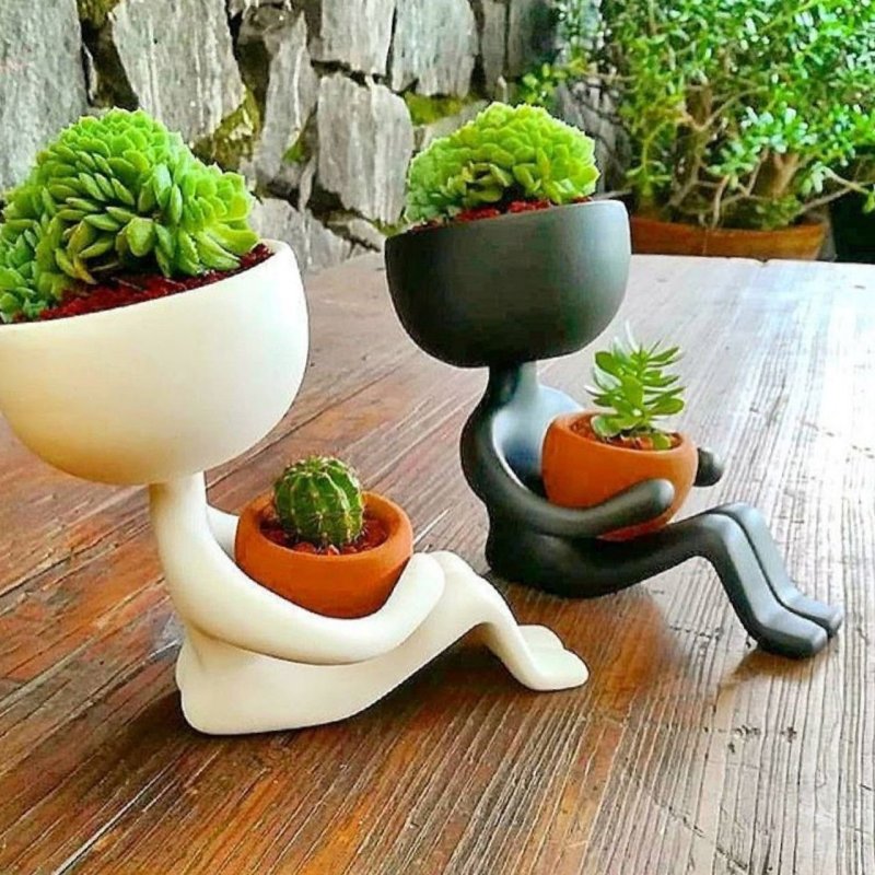 Unusual pots for succulents