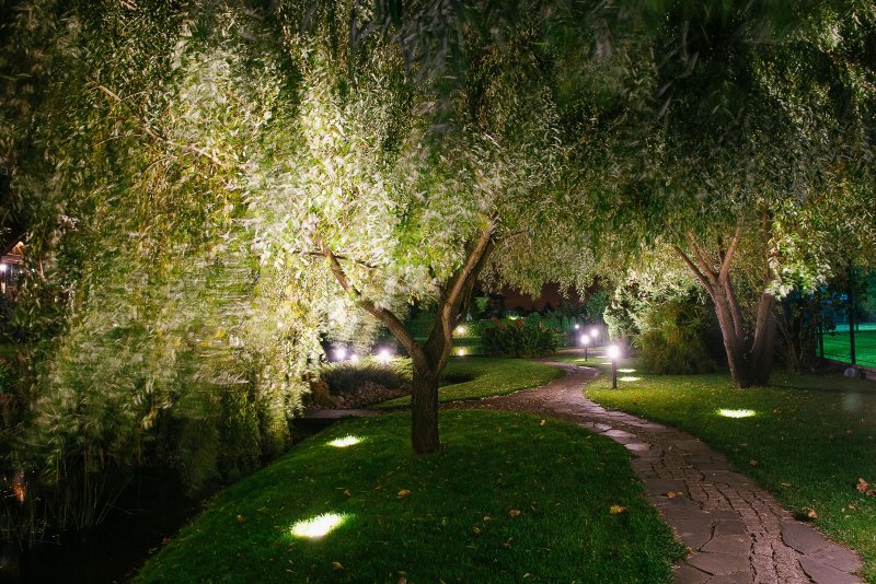 Lighting in the garden