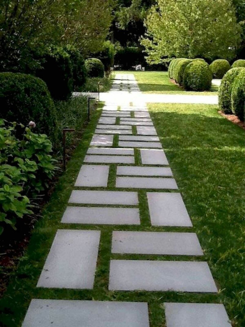 Paths in the garden