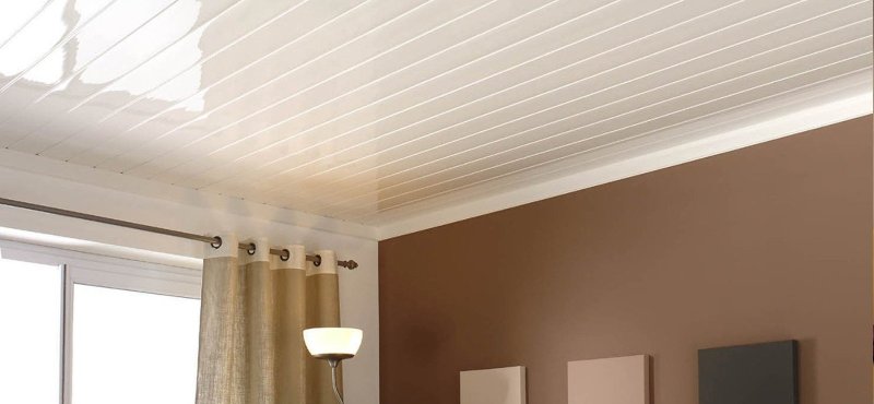 Plastic panel ceiling