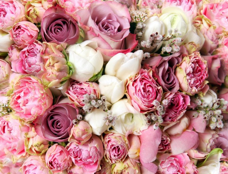 Ranunkulus flowers