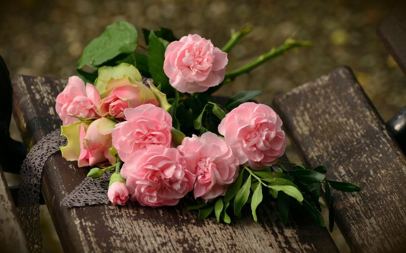 Peony bouquet of pink cloves