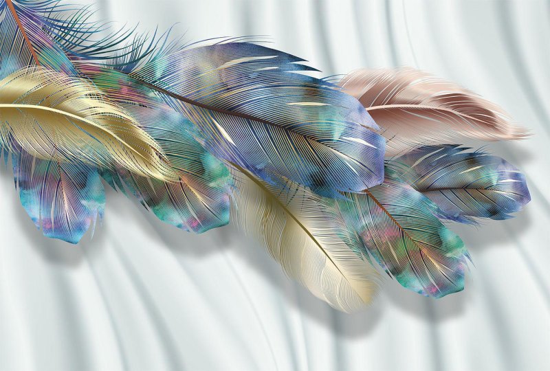 Color feathers