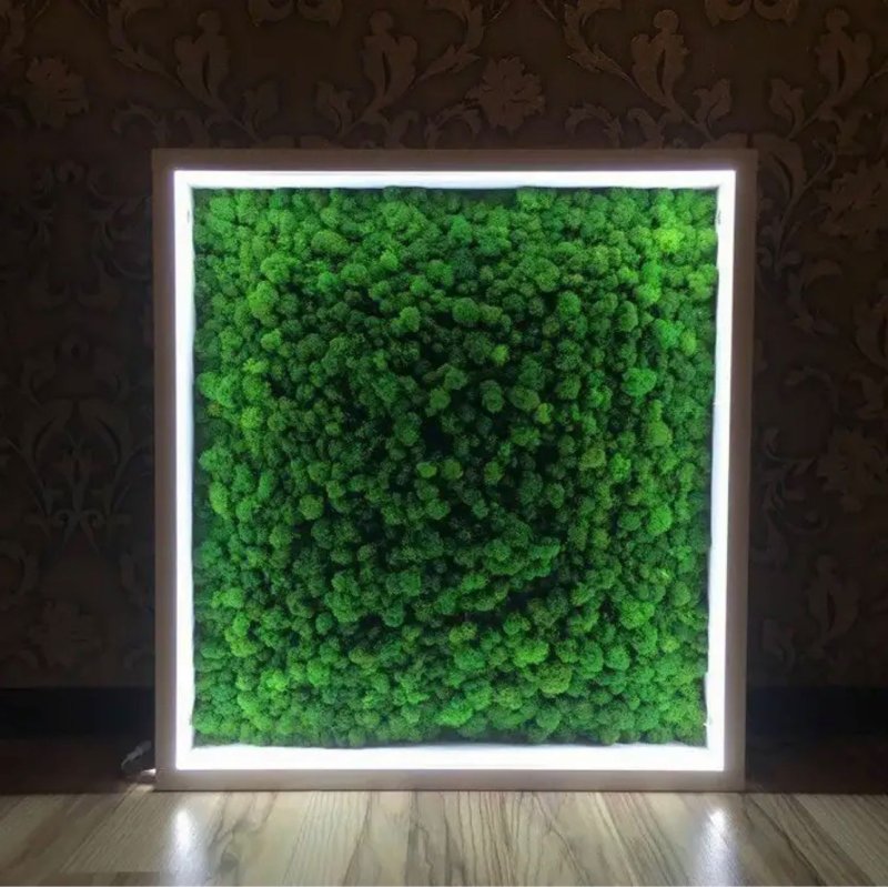 Moss panel with backlight