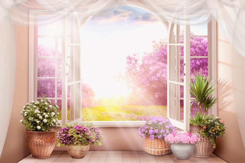 Wallpaper window garden