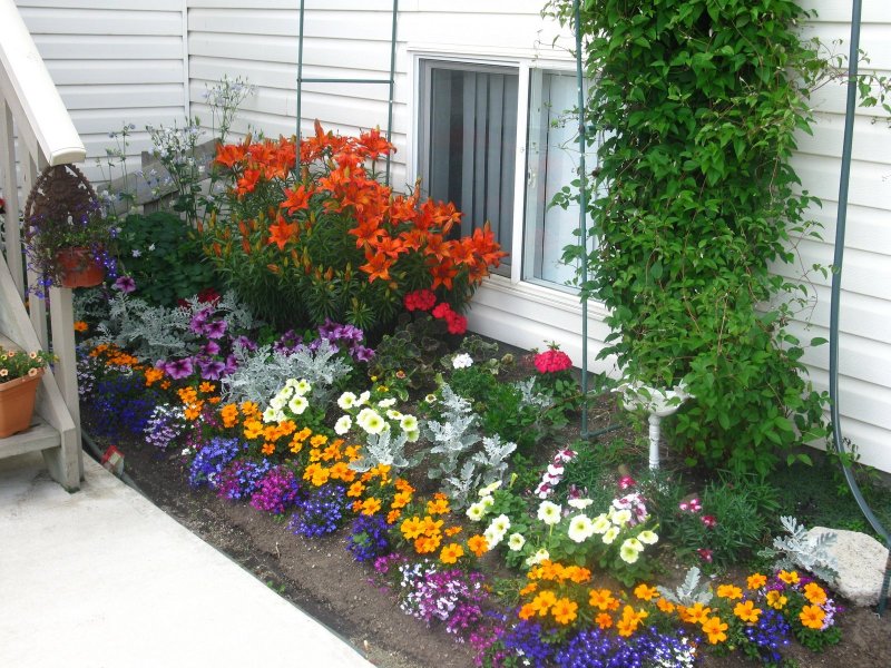 Flower beds in the courtyard of a private house