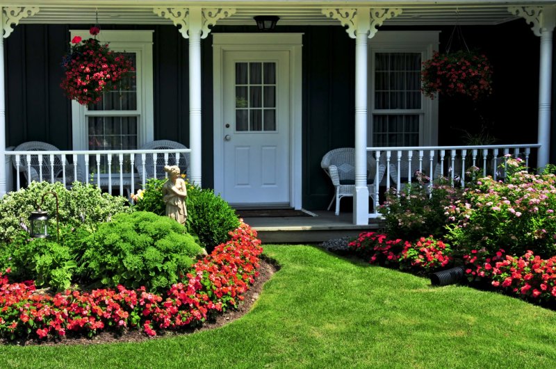 The design of the front garden in front of the house