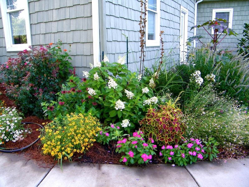 Beautiful flowerbed in the country