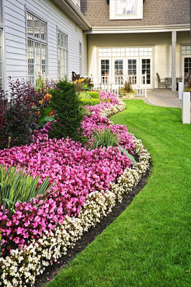 Flower beds in the dacha design