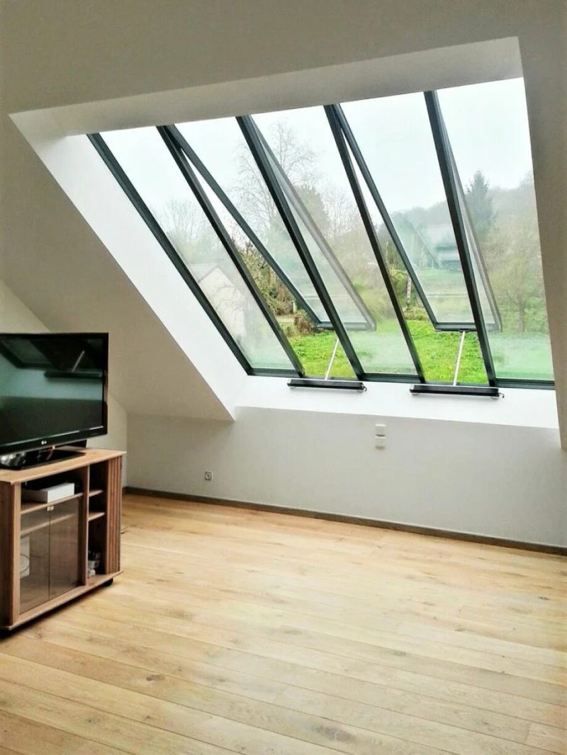 Velux attic window